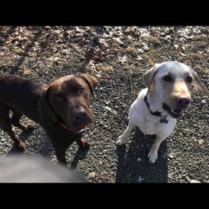 Meet your Posher, Ian